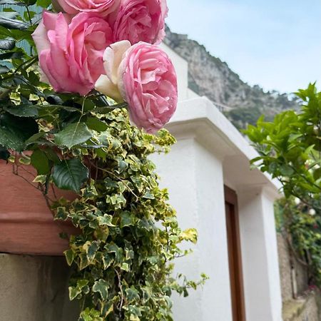 Il Cigno B&B Капри Екстериор снимка
