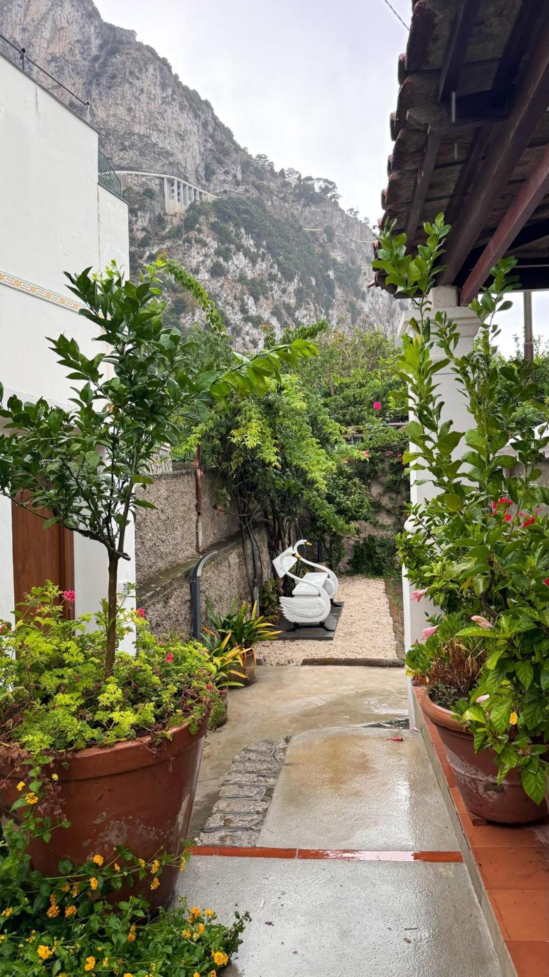 Il Cigno B&B Капри Екстериор снимка