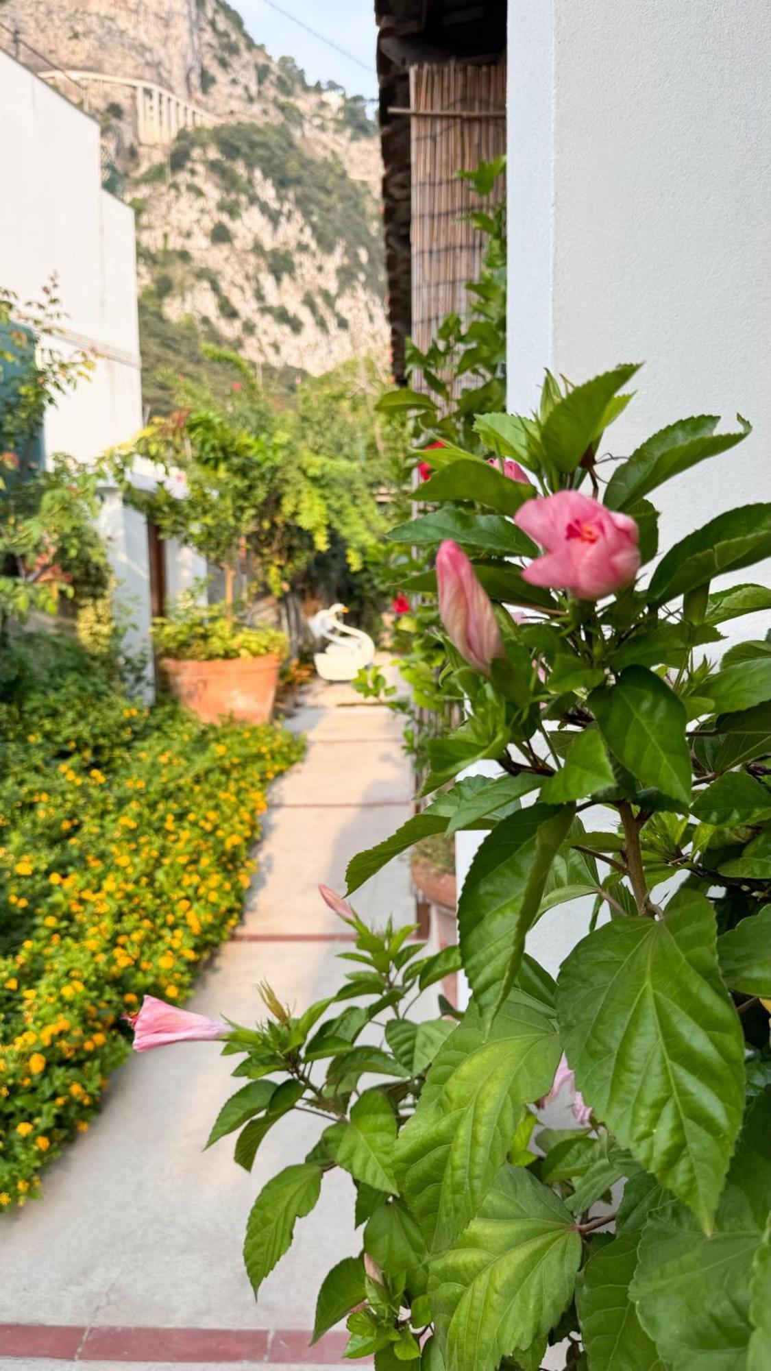 Il Cigno B&B Капри Екстериор снимка