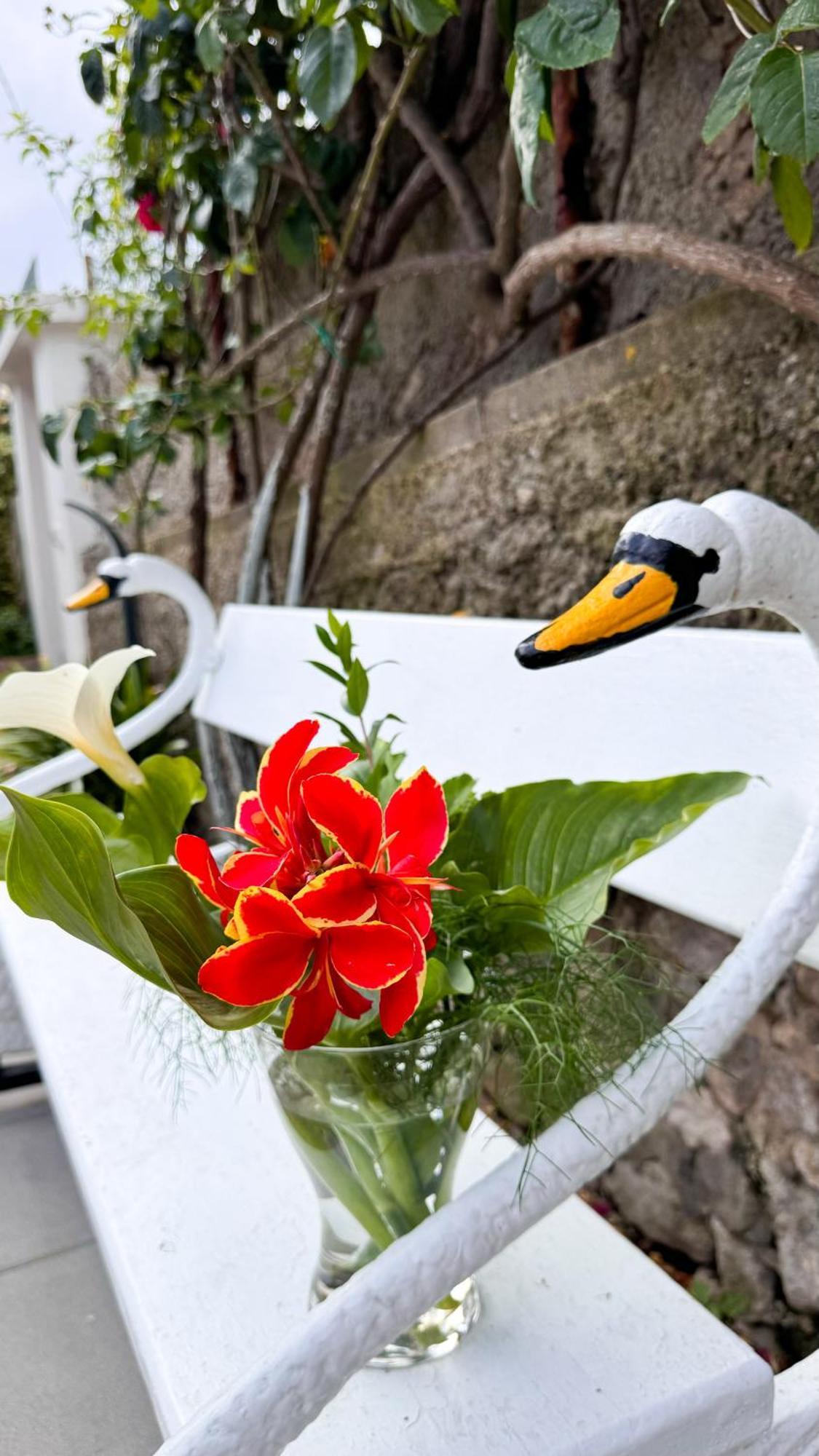 Il Cigno B&B Капри Екстериор снимка