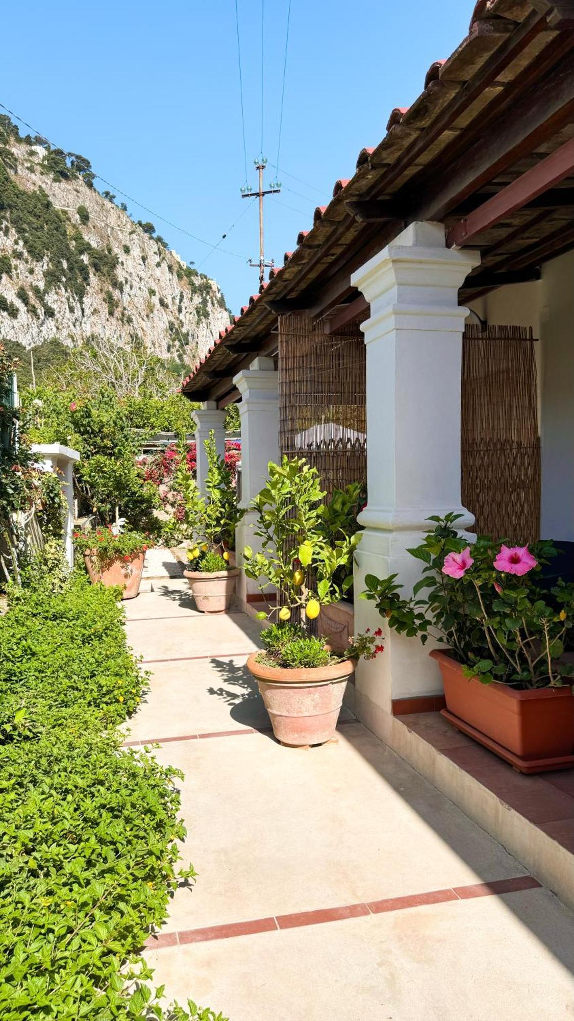 Il Cigno B&B Капри Екстериор снимка