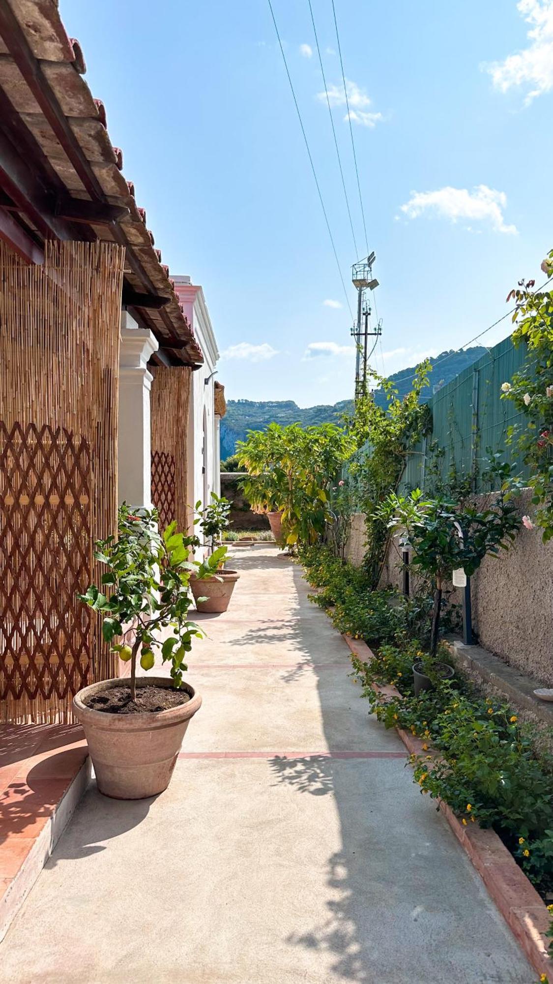 Il Cigno B&B Капри Екстериор снимка
